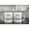 Grandparent Coffee Mug - Granny And Grandfather-To-Be 11 Oz Mugs Water Bottles Cup 11Oz