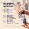 High Prebiotic Fiber Gummies for Women and Men 7G per Serving 2 Pack Dietary Beet FOS Fiber Magnesium Citrate Inulin Probiotic Gummy Supplement for Di