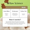 Mushrooms Complex Gummies with Lions Mane Nootropic Brain Supplements for Memory and Focus Lion's Mane Cordyceps Shiitake Turkey Tail Reishi Chaga Eno