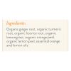 Rishi Tea Bag - Turmeric Ginger - Case Of 6 - 15 Bags