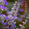 Vitex Berry Premium Chasteberry 4:1 Extract Vitex Agnus Castus Menopause & PMS Support Hormone Balance for Women 180 Capsules 6 Month Supply Made in G